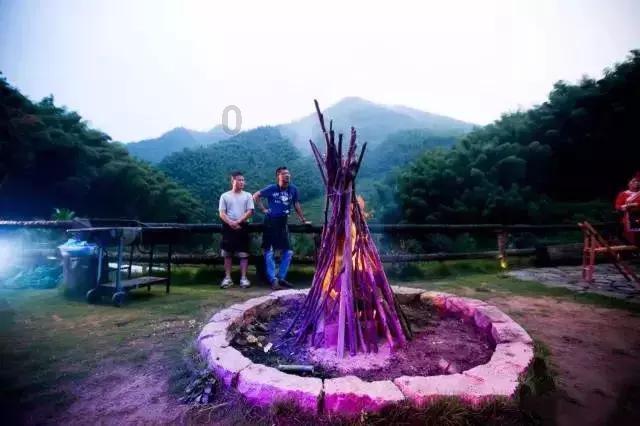 奥特曼家族有多少人,专注解答疑问,快速获取帮助
